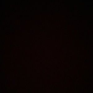 Meet your Posher, Maddie